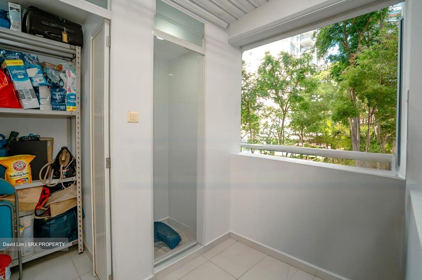 Amber Road (D15), Condominium #451134031